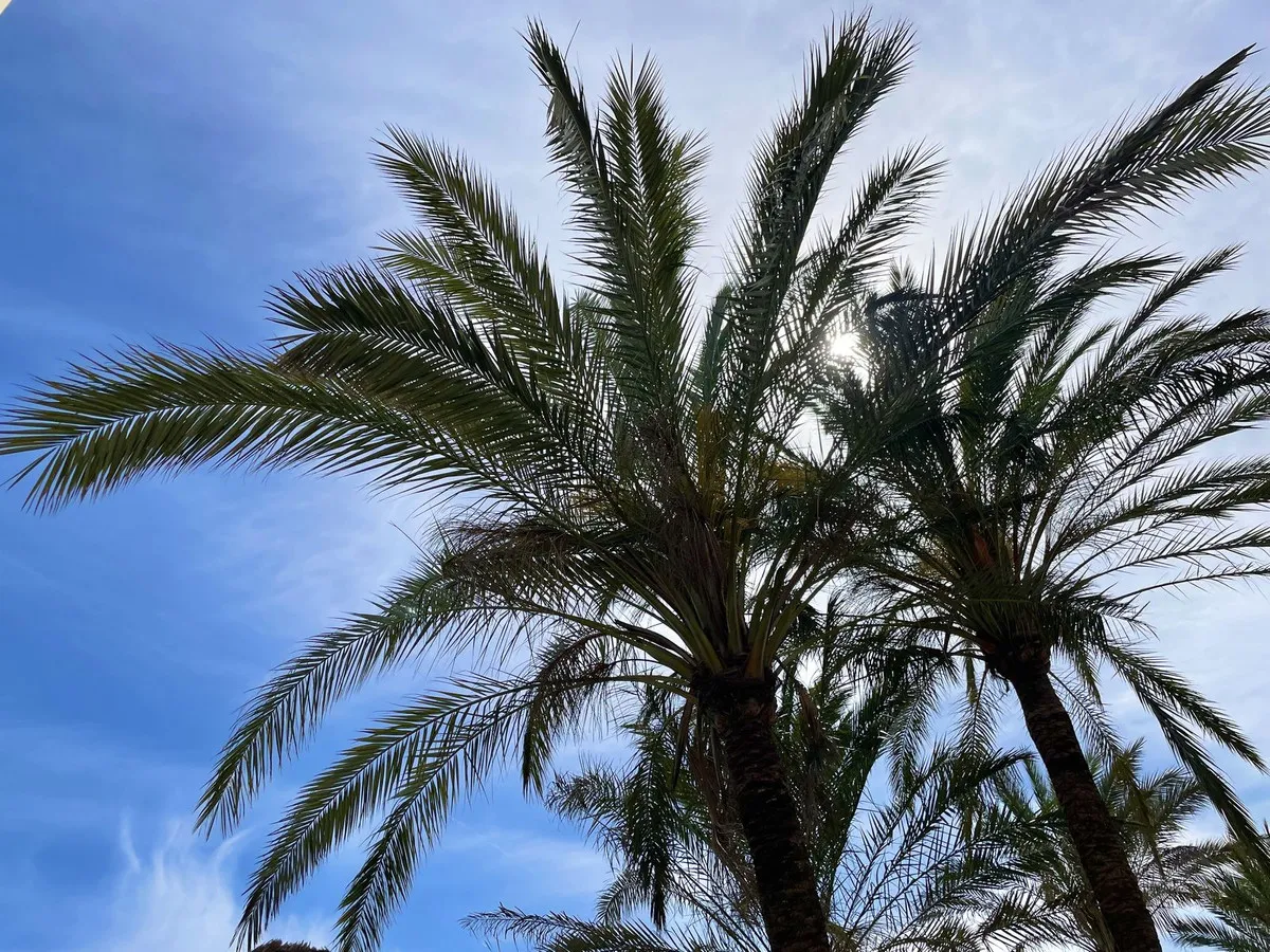 ead98bd8-ae30-4ca6-b45b-dbf459df9e01