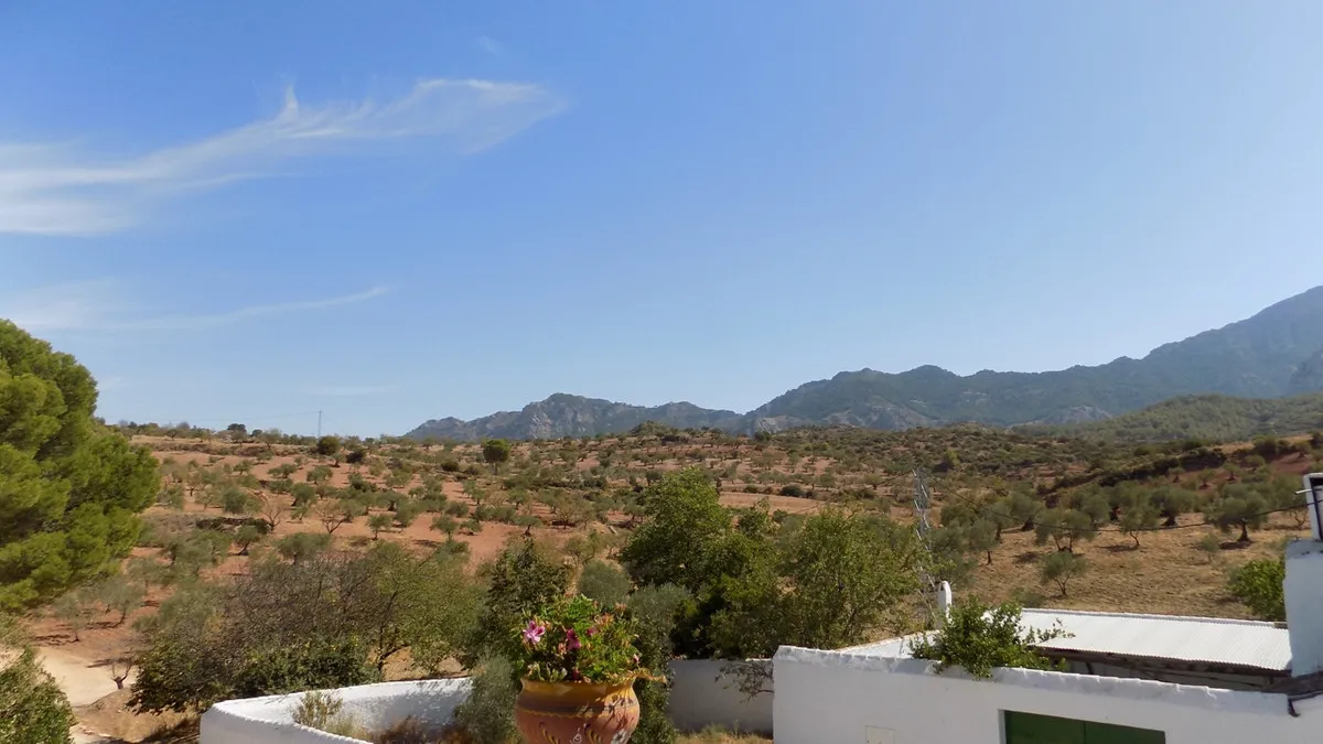 c538f80a-d11d-4d0c-a346-1ea537f74163