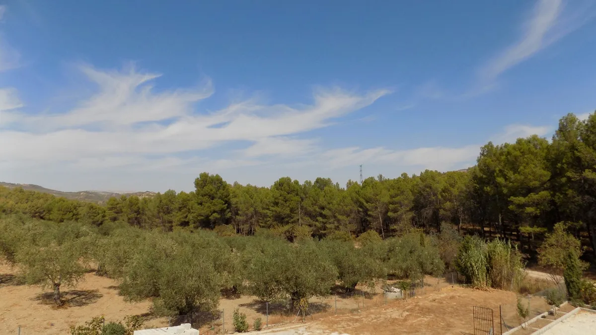 e00809c4-b92f-4b7f-be7c-f991c93bb399