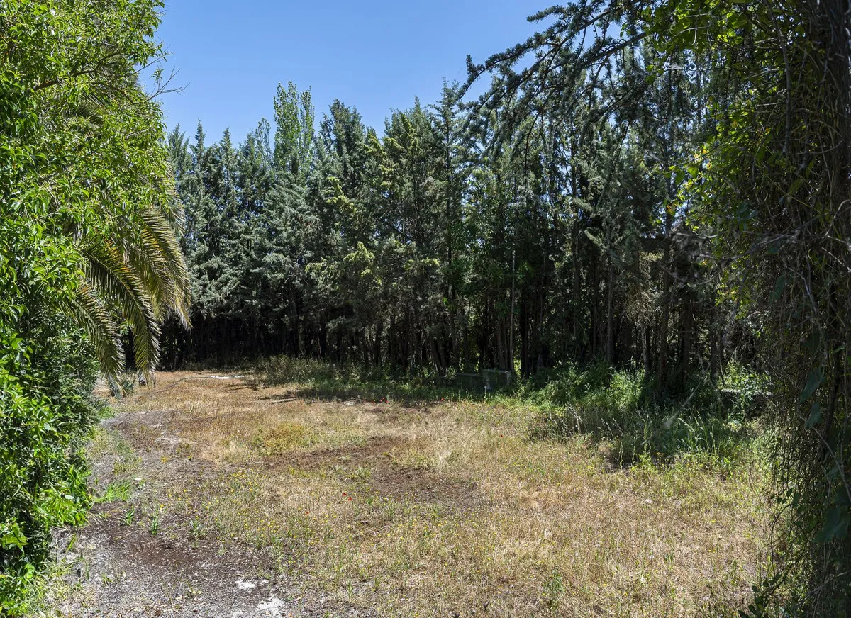 4465fe21-15c5-4c40-9be5-83fb6412d803