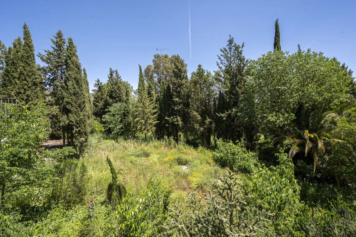 6c2a7486-0df6-4e6e-8304-bf8e802c5970