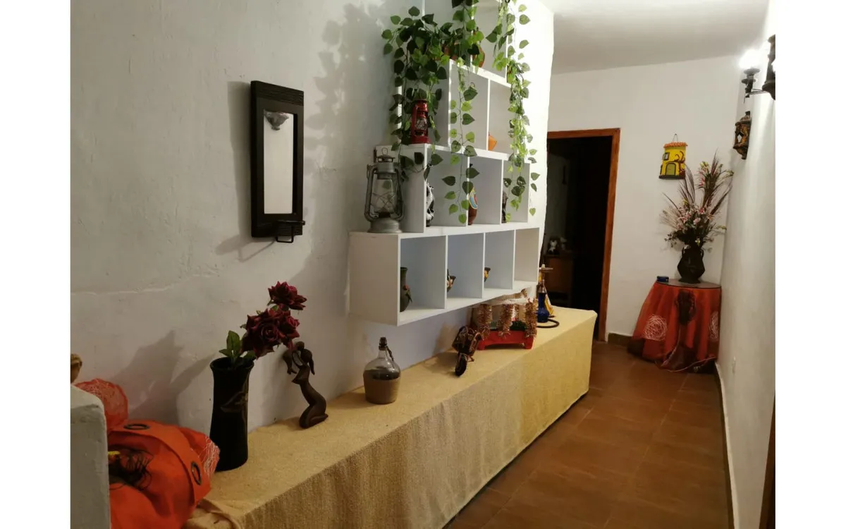 8f0ef513-4846-438f-8763-49f697a7501e