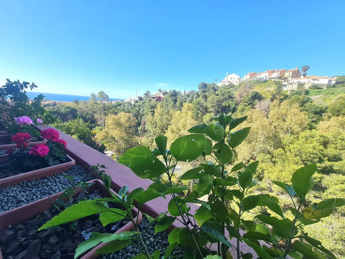 b2e56876-8ae6-4d59-bd77-6fb9511d3c3c