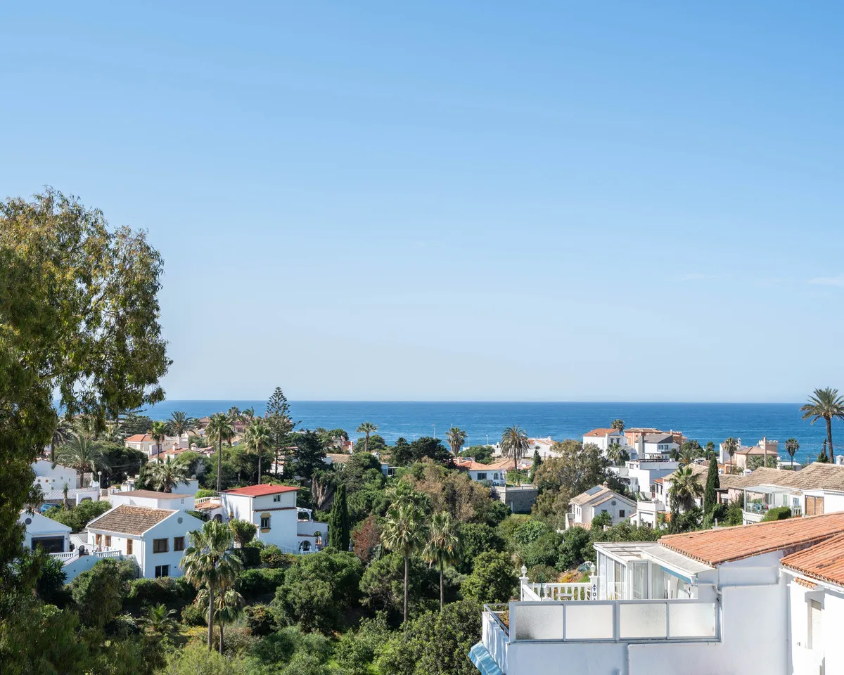 01ac99d4-4975-41dc-a51b-44f3f3e3c1a8