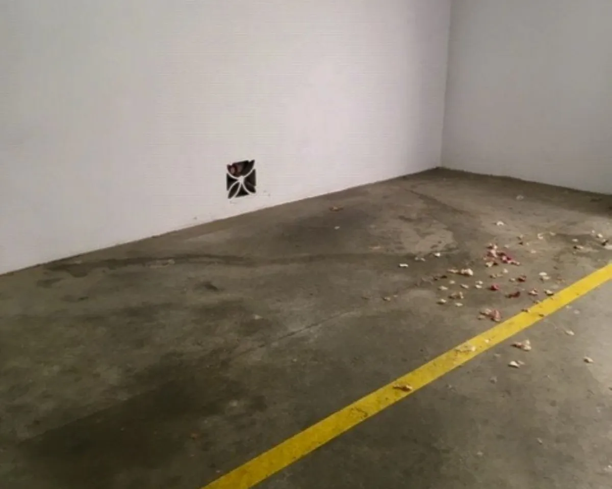 ab661259-d15f-4a9d-8244-b9994a0ae683