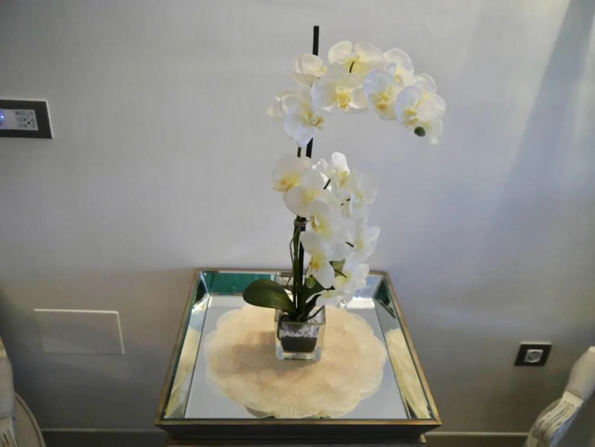 b9095960-6ad0-49e4-bee1-06f3b72c77fb