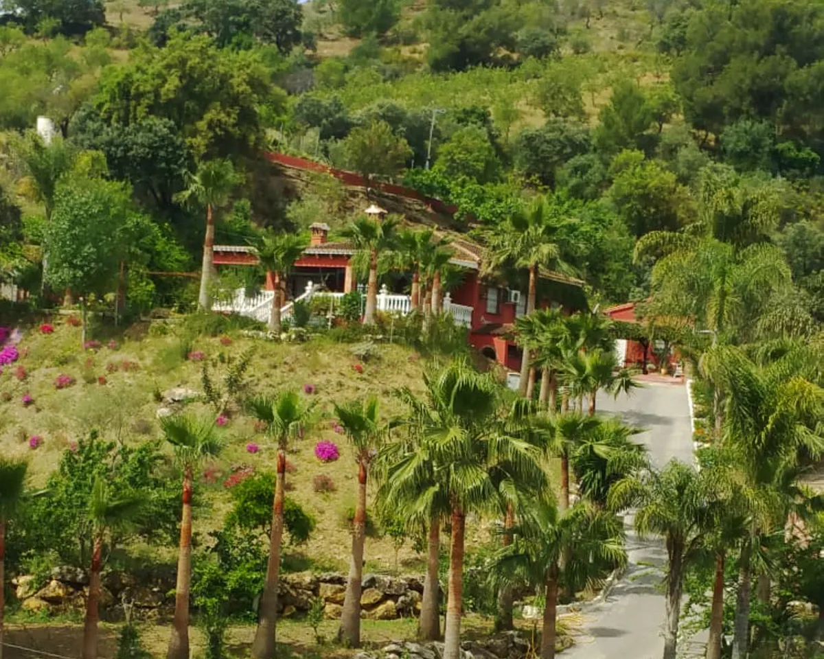 217378f0-e901-42ce-9775-adb234c414bd