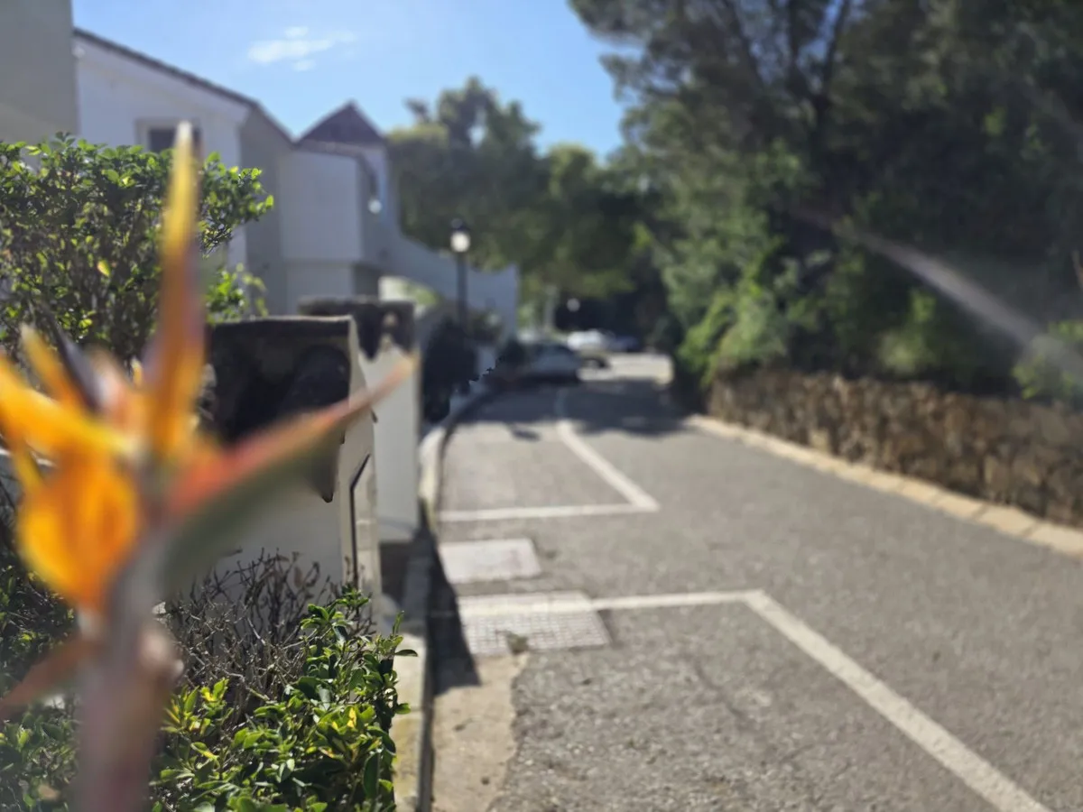 b30060e3-a6ac-4a58-9944-feebc1189cd7