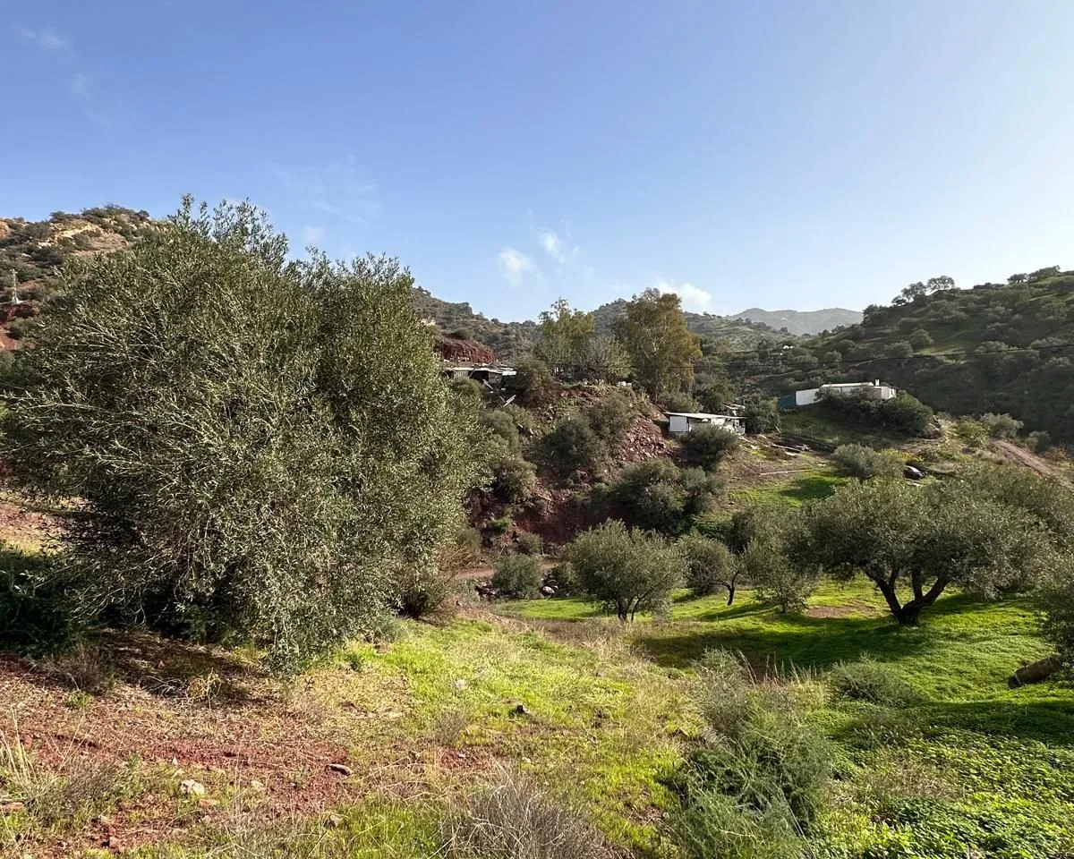 0a019e87-08c5-44c3-b355-dd0470273b5d