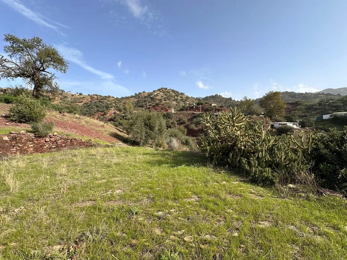 6b917e2a-a8a8-47d3-93ec-ccb5a74d8cb5