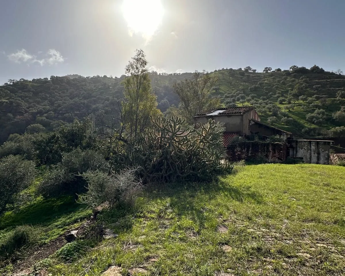 85a8168d-66a9-429c-b869-cd7ea854729d