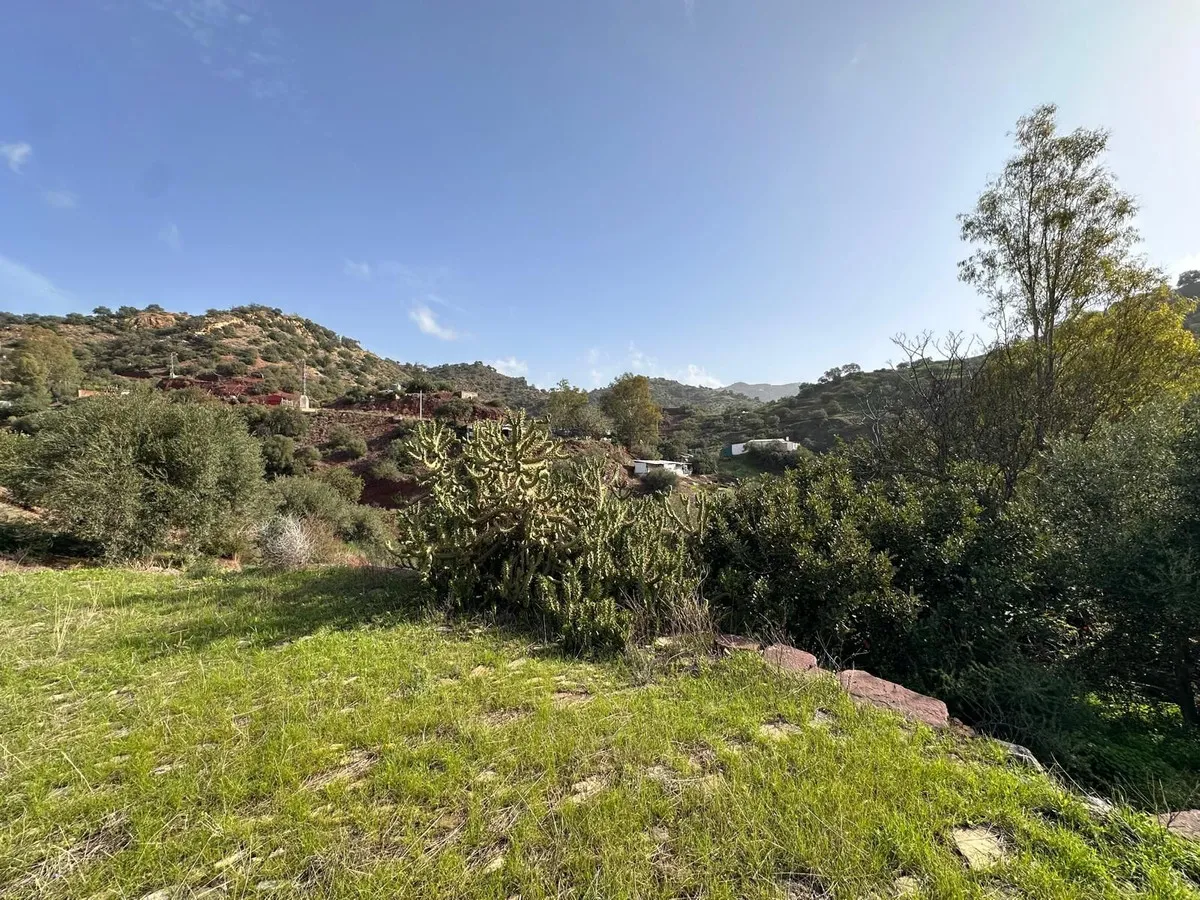 c9285724-f187-4219-9b34-f8dfa9d09a07