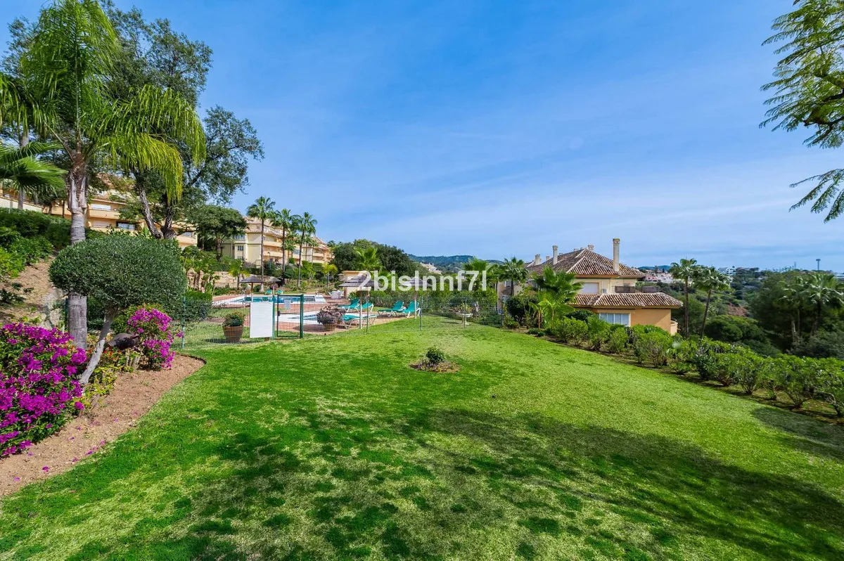 08634603-3baa-4e8d-a607-24b0b4977c7e