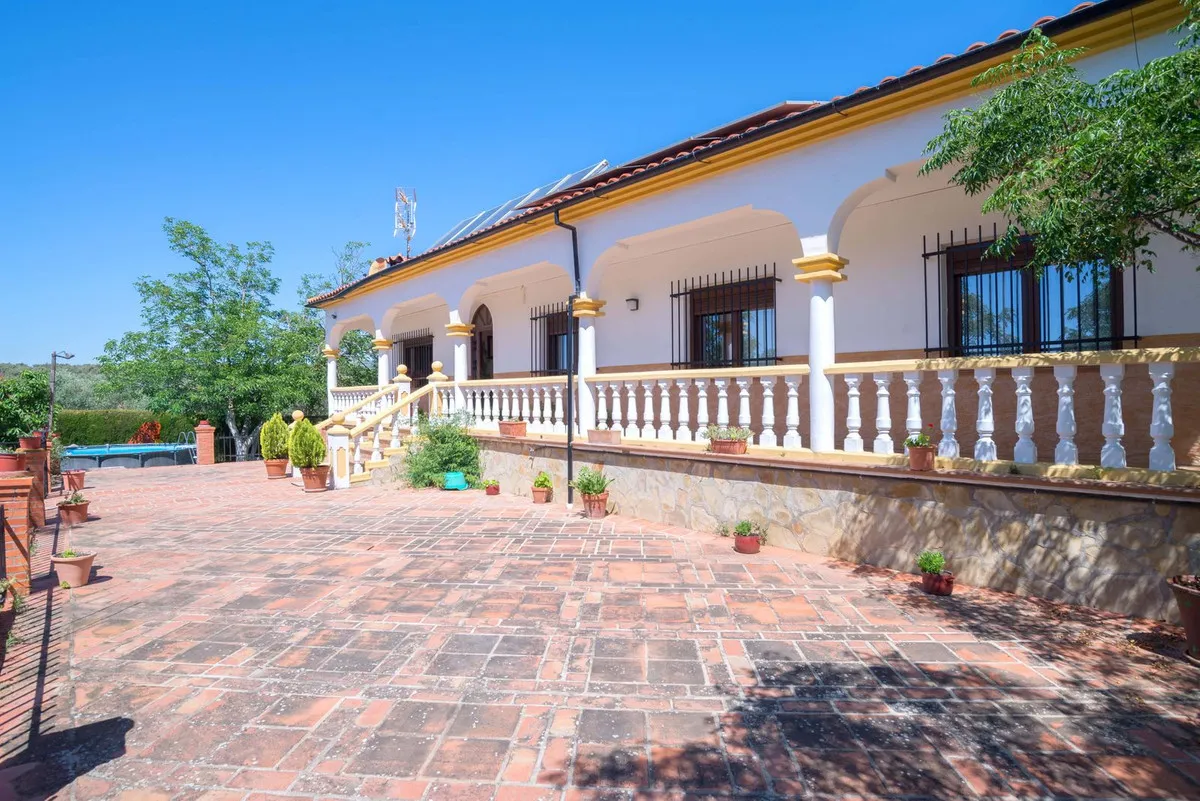 3321b91f-ad78-494b-8e3f-e9b3f3bbc61b