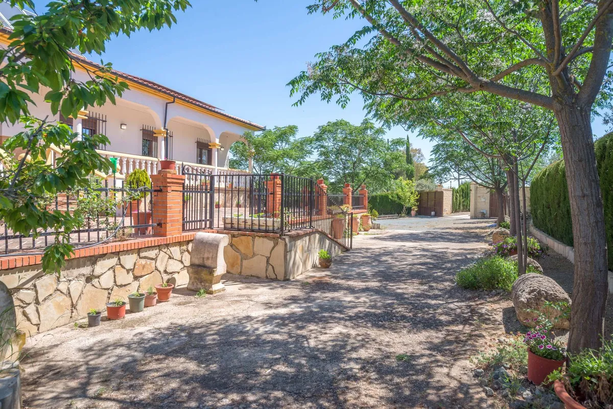 ccf4165b-8bae-4c5d-aaca-12bc90b83232