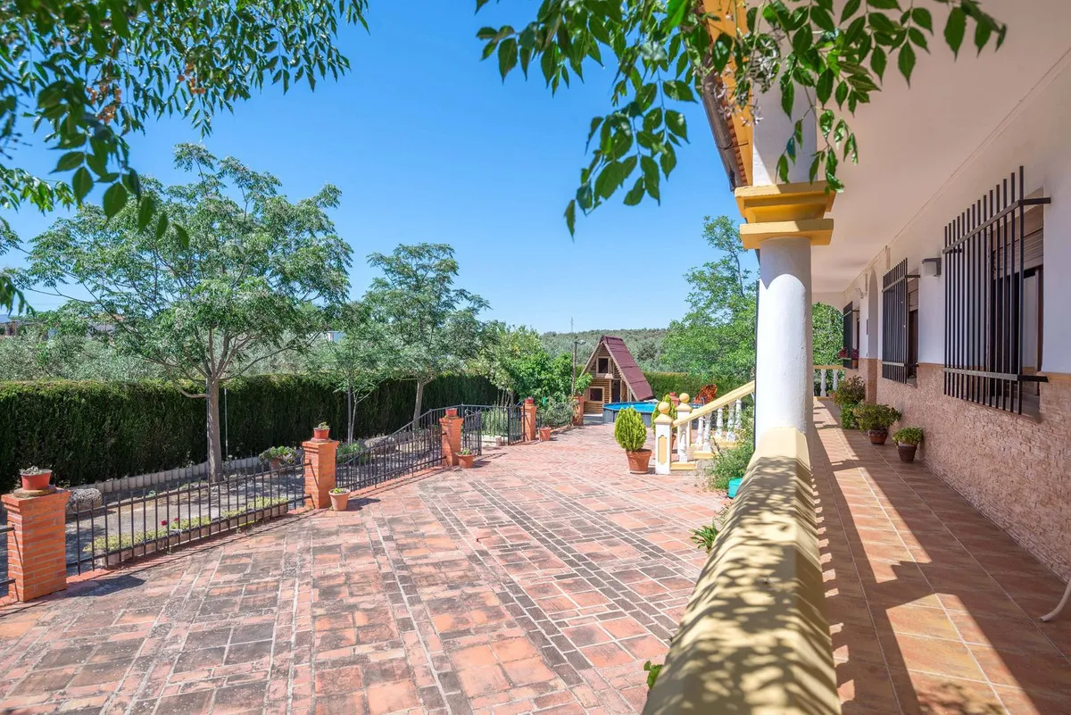 d65d1d62-89d9-449c-b1a5-561c6f2a6d7a