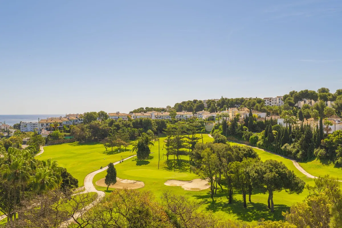 ca0c47c5-75ff-47c2-a812-0c4f23d5def5