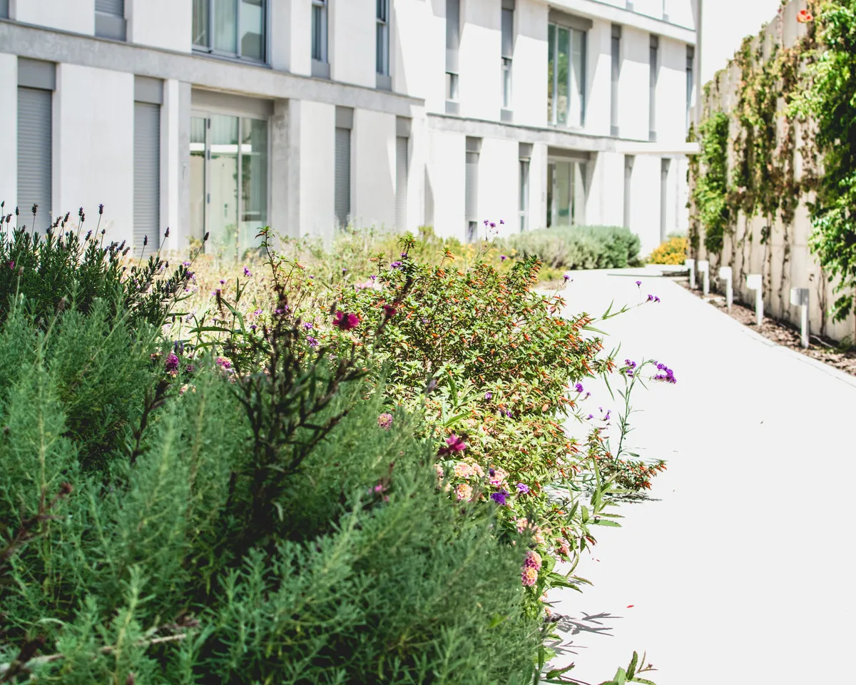 81ac426f-22ee-4b4a-af70-77120b76a355