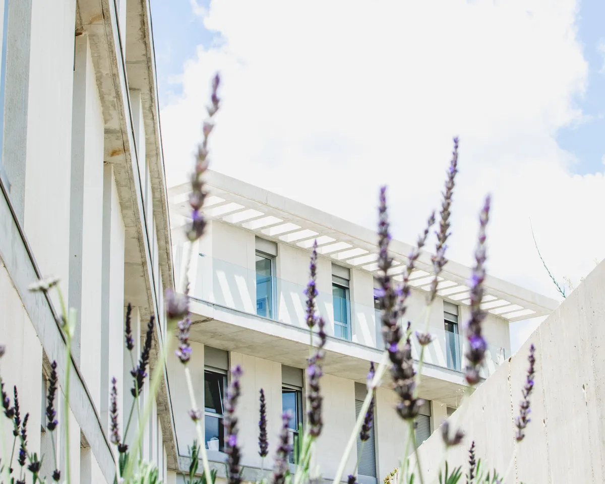 8a6dee62-e72b-4039-a4d3-3bd8962cc542