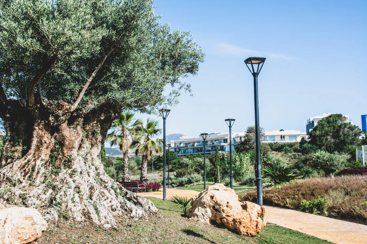 8dd4323c-9911-4eba-8ab2-204e23f70bc0