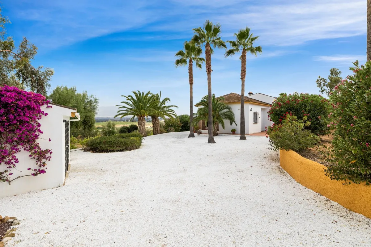 65c59bd3-8a00-41c8-8524-dc463230062a