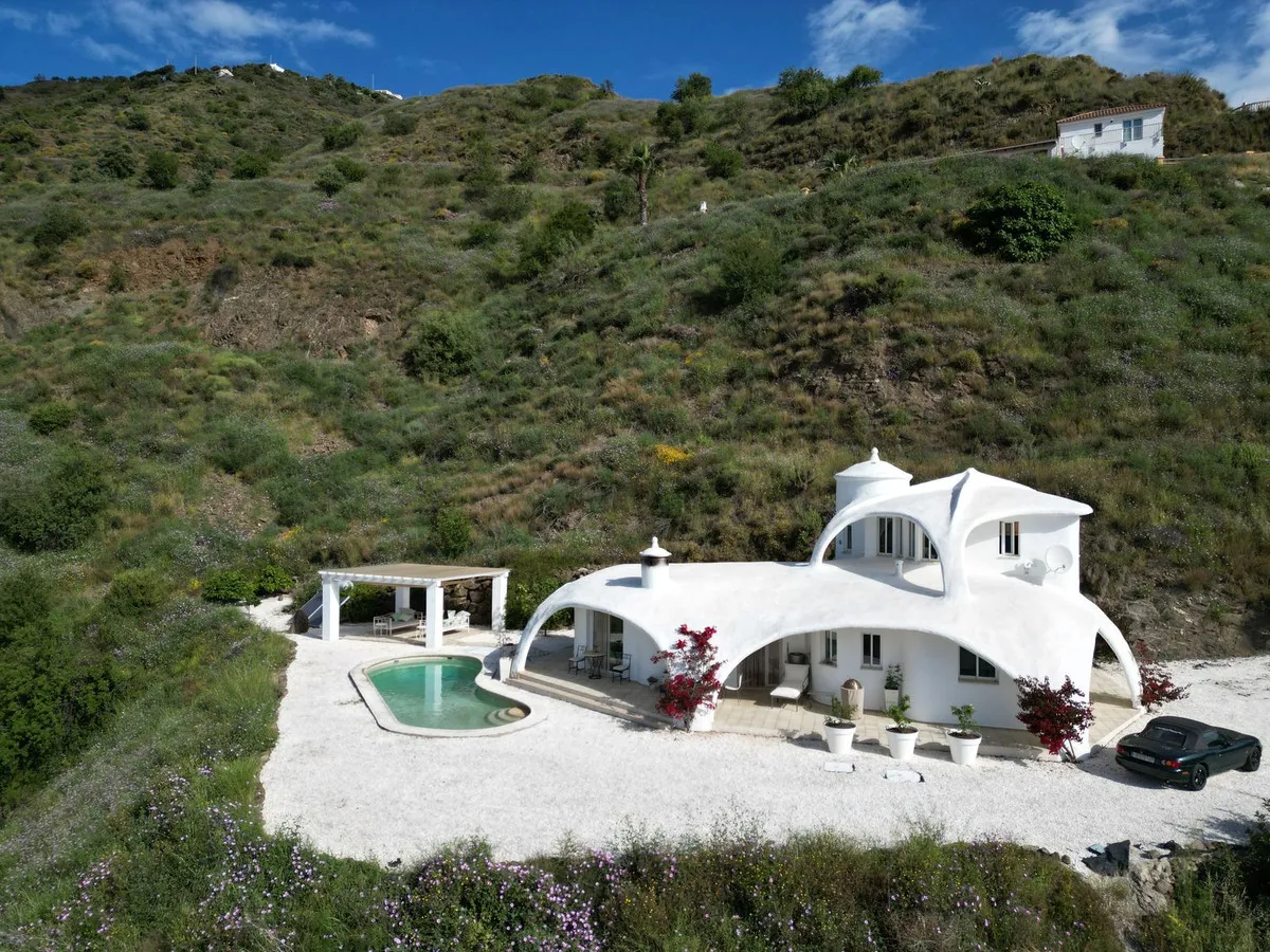 a7b8cae3-354f-4791-b569-f08b7d59c58c