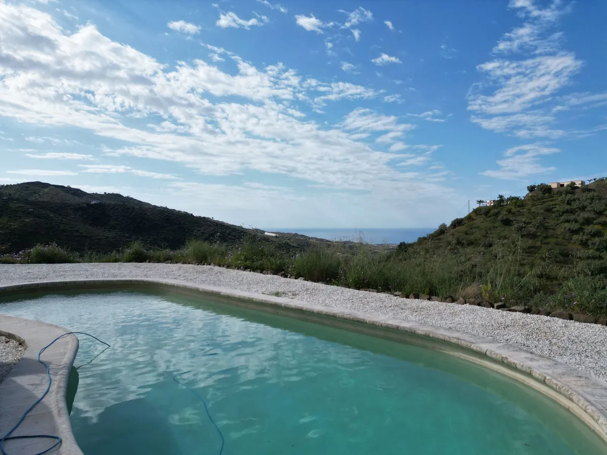 f3332b20-287e-49b2-a581-a4f686026750