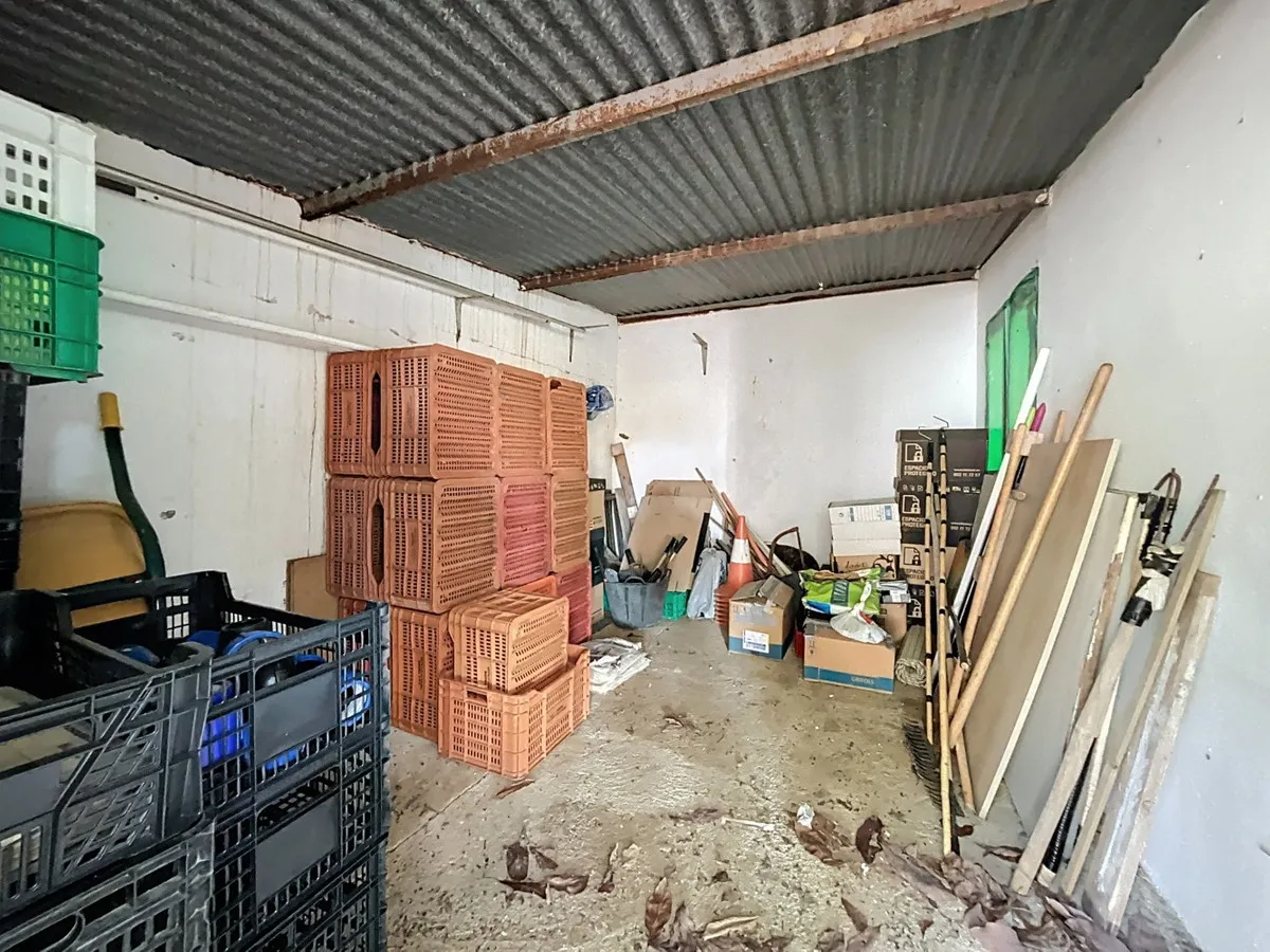 0c6246e4-a355-4885-a1ca-53381b9e36c5