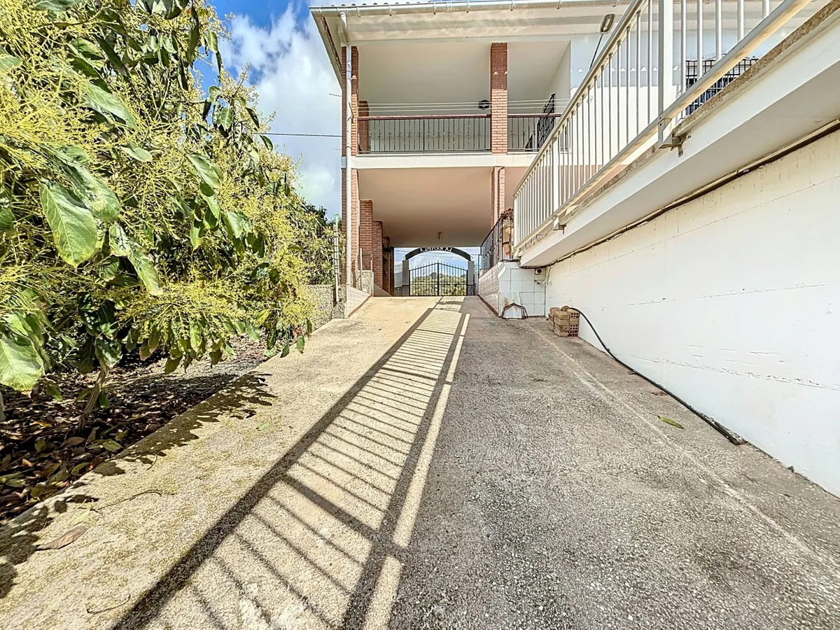 2a46b845-6787-4d08-8c1c-be10a8ab43f5