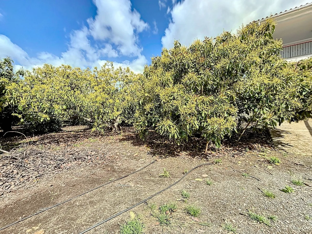 663f456a-1f9b-47db-b635-6a4de6f82457