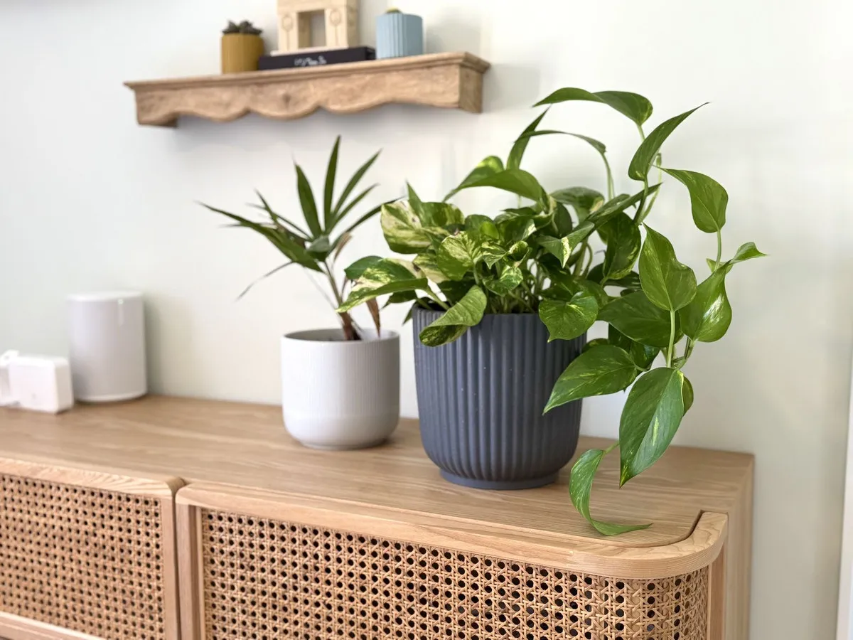 7f5e36c2-6573-4e23-9e41-2530ba8898e9