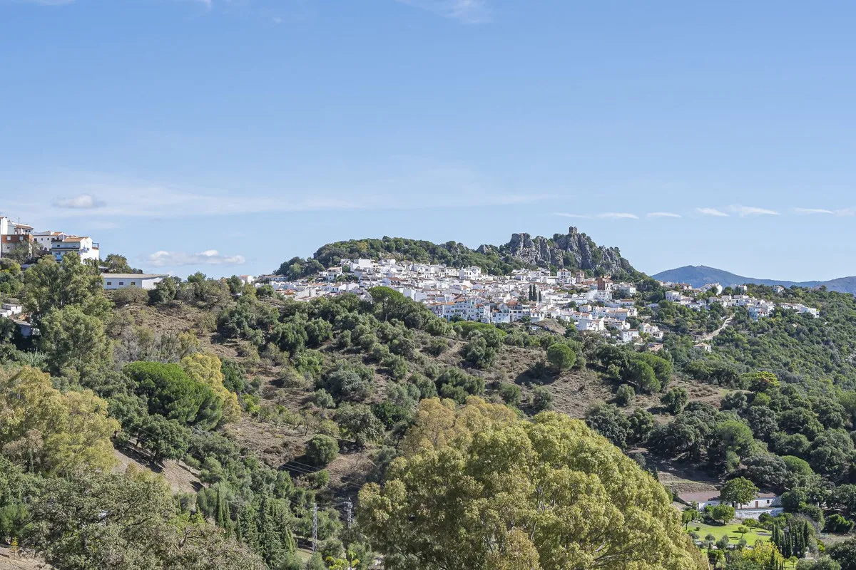 7412cef9-f061-4522-ab9e-6b3a0dc25477