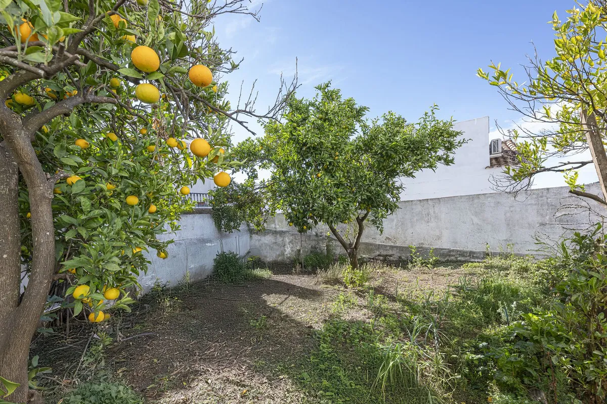 85b82db7-1b6a-45a7-bc95-8b63523efcdc