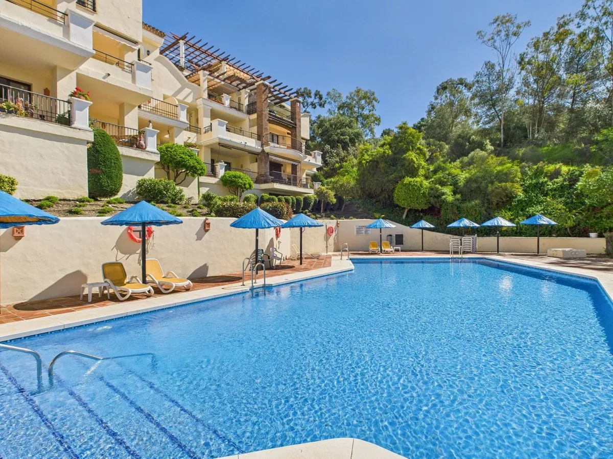 805d65f1-0c2a-4e38-8e52-9d8c99f81304