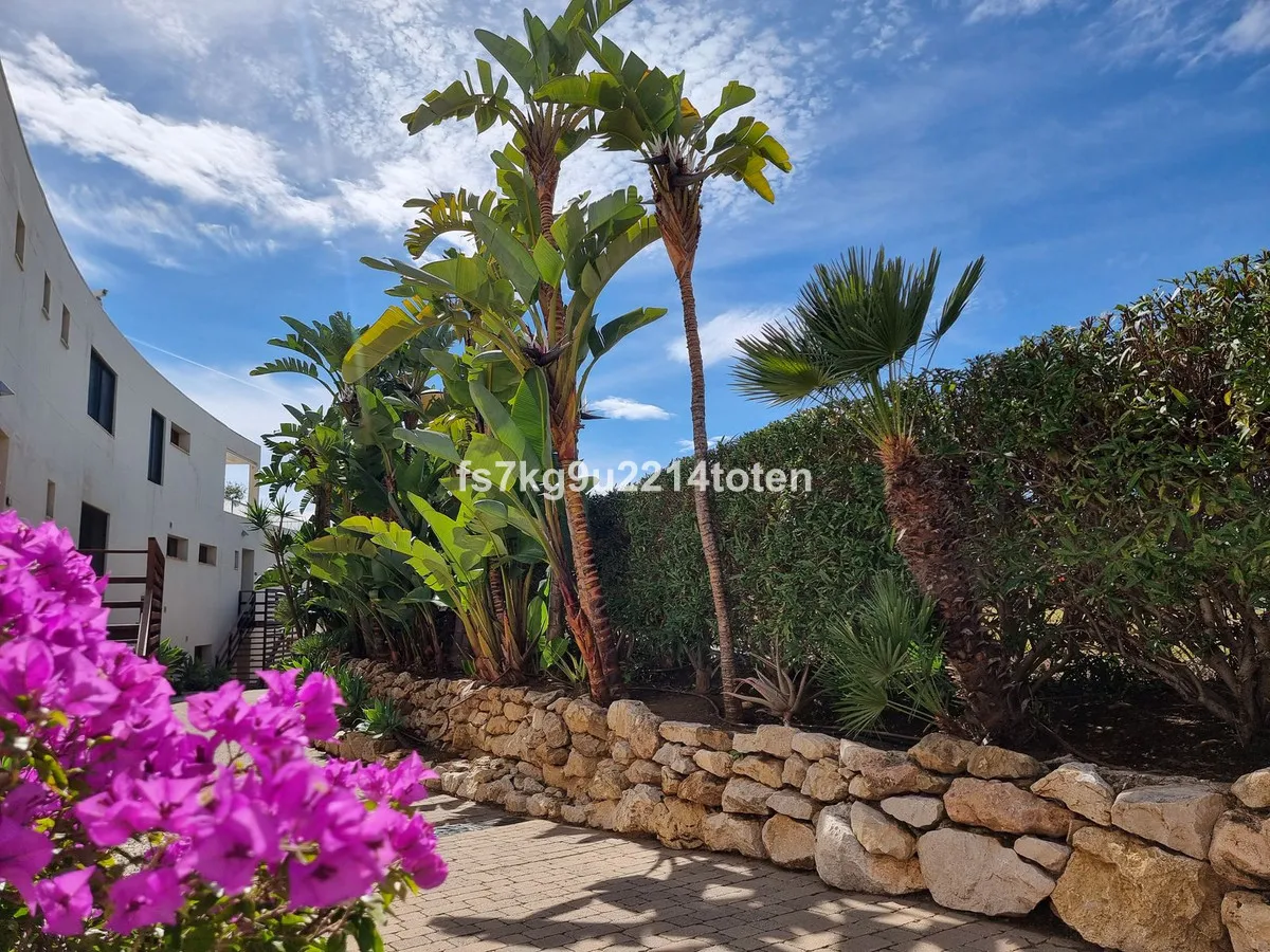 21c5e9e0-1b99-4375-8f56-62a46c1daa02