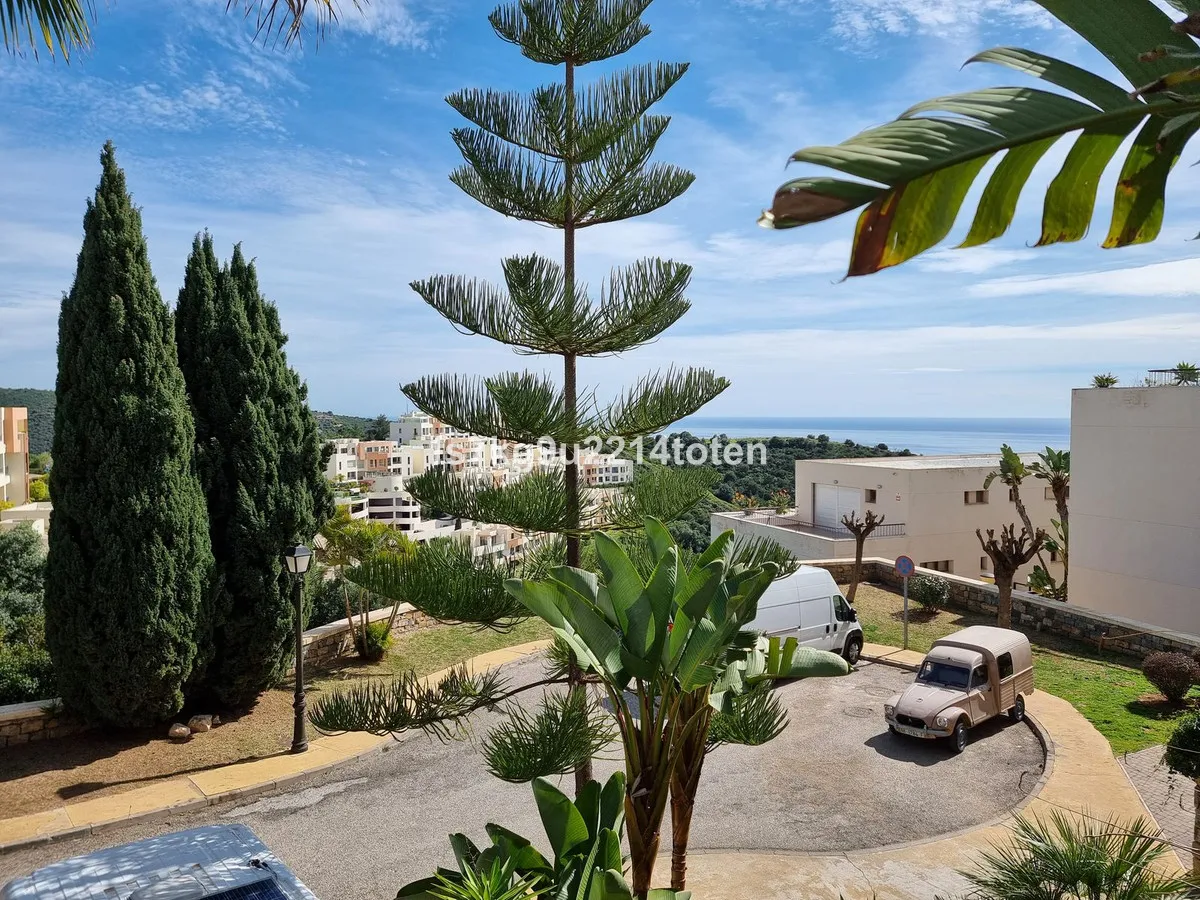 55f69786-870c-478f-9955-d73a3e1bad6a