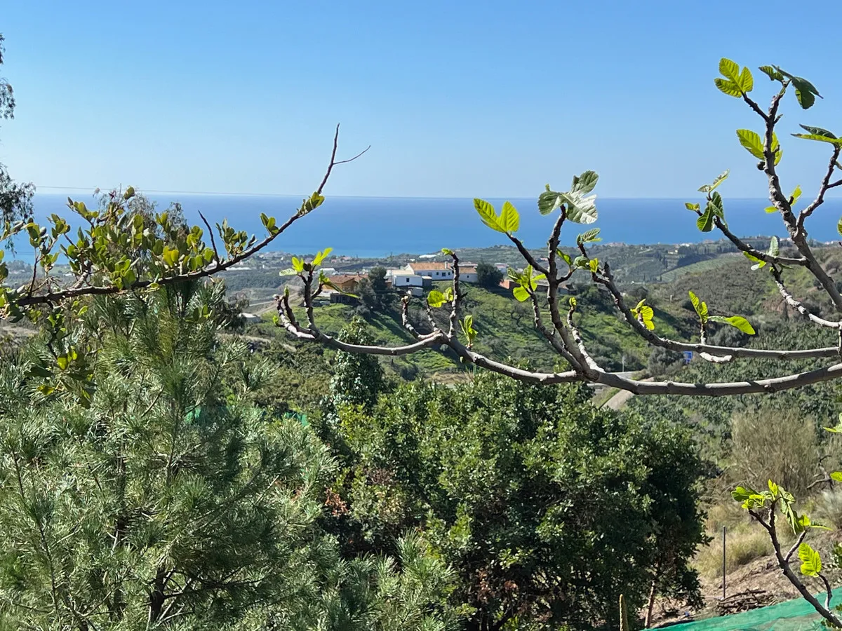 02ea9b48-d9e0-492c-98a2-a27389b67859