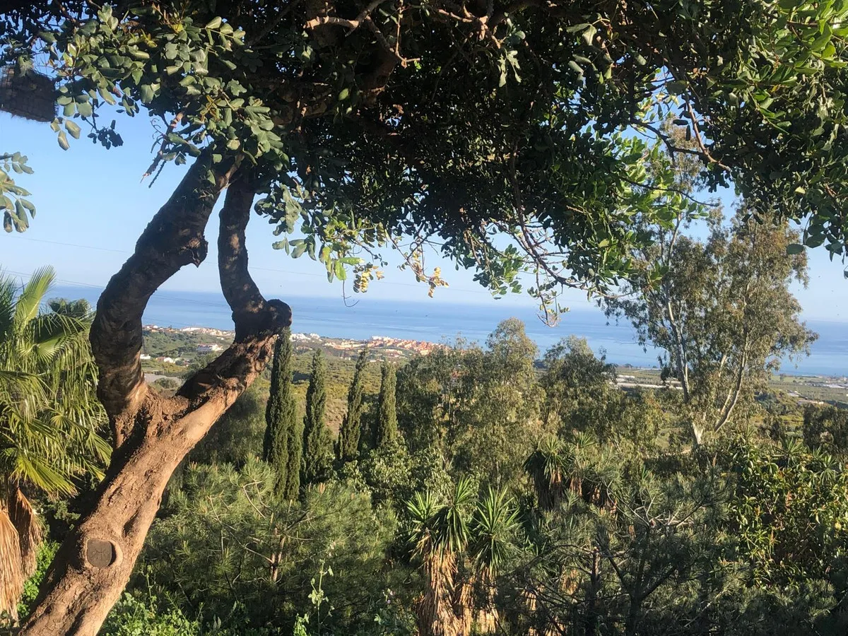 866a8c54-294d-456b-a663-b76f0b29124e