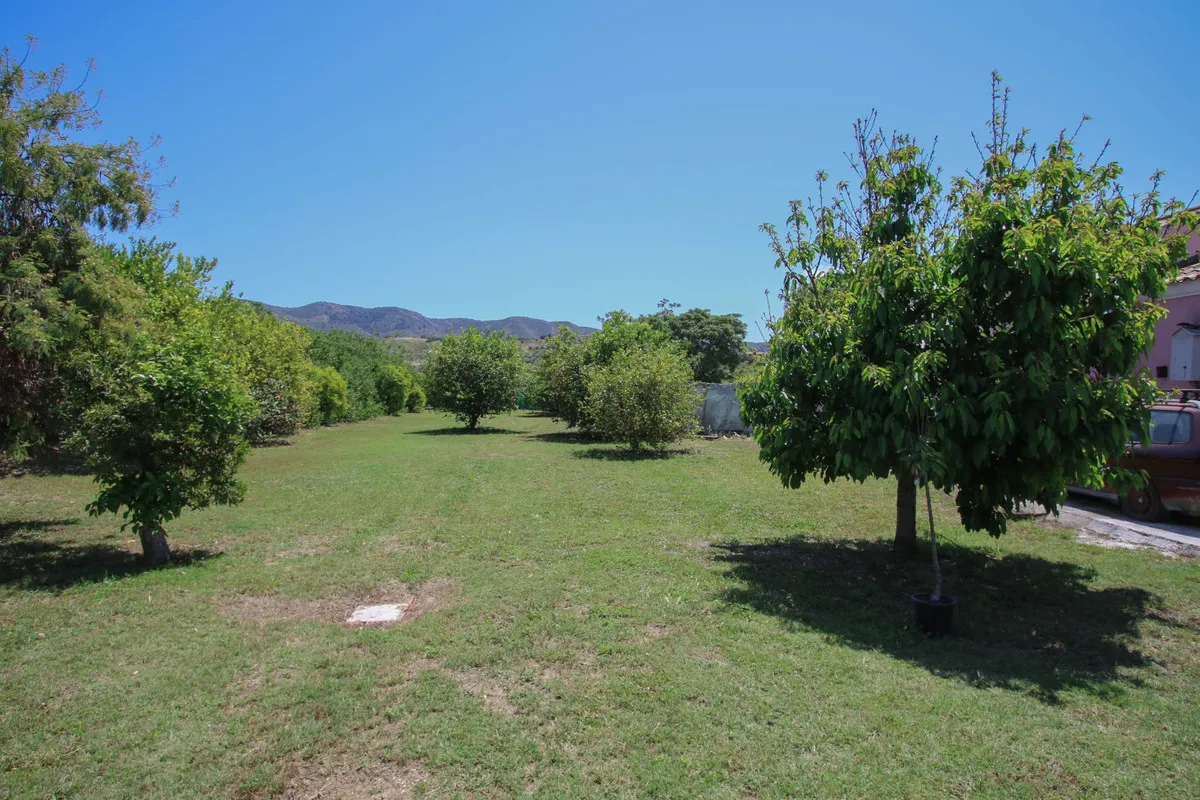 10dca172-6afe-487b-953e-04dc8b31dcd9