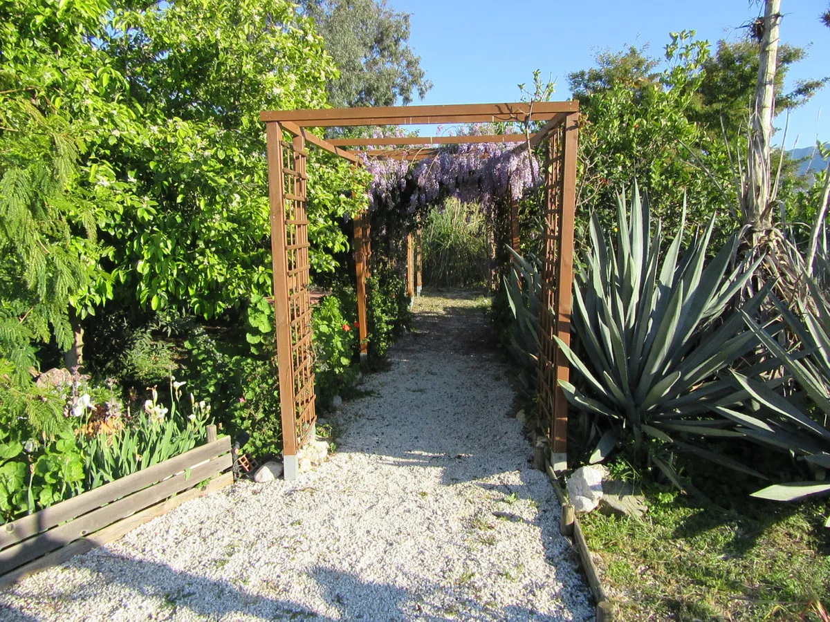 ef8ceb1a-957d-4f69-88b4-7d9ced1ae732