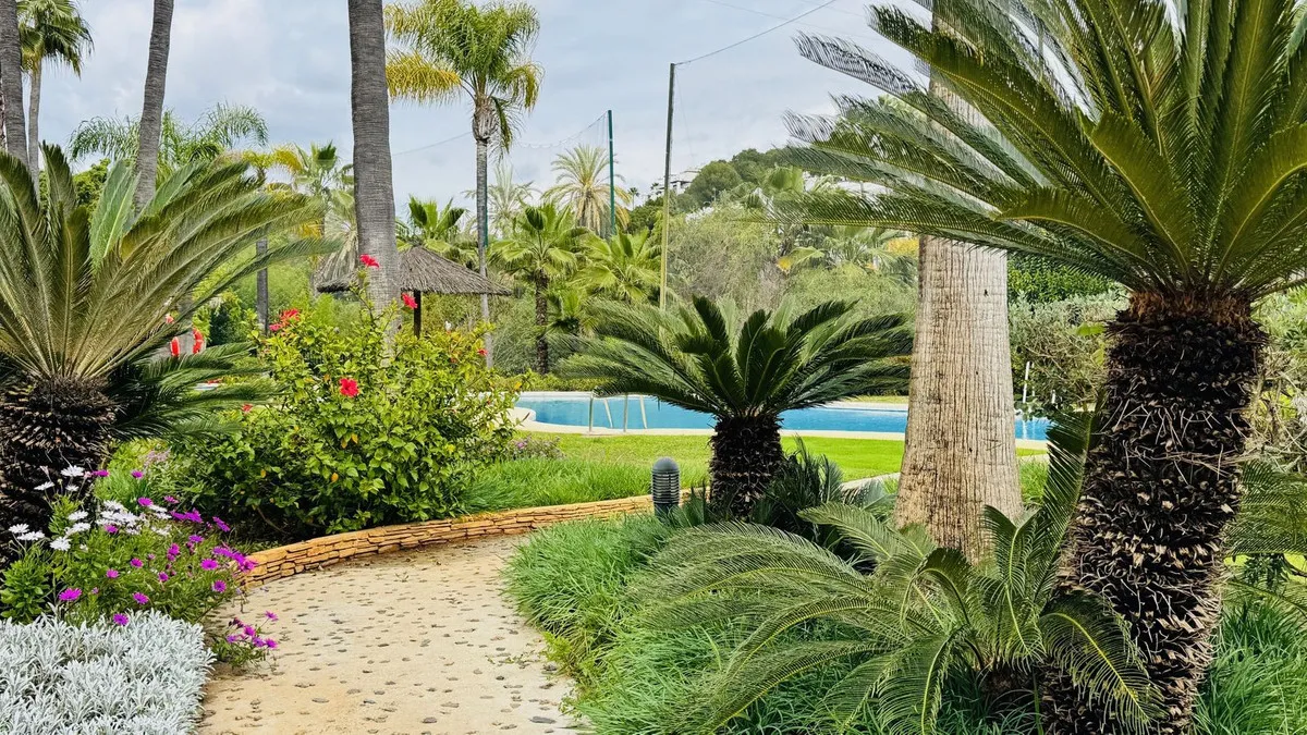 8c4211b4-8855-40a6-8720-234d052835ad