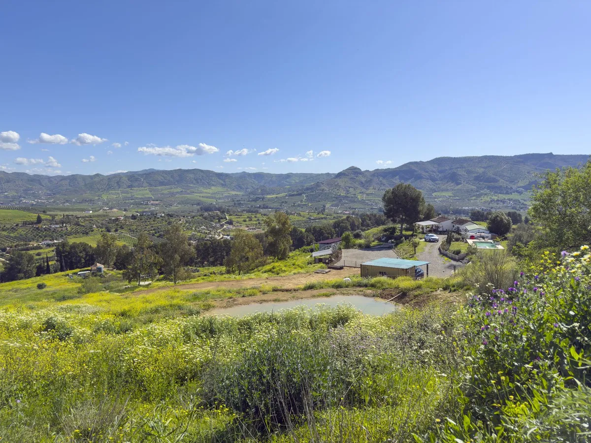 29fd1e06-86e1-4a19-9888-53bddff037a2