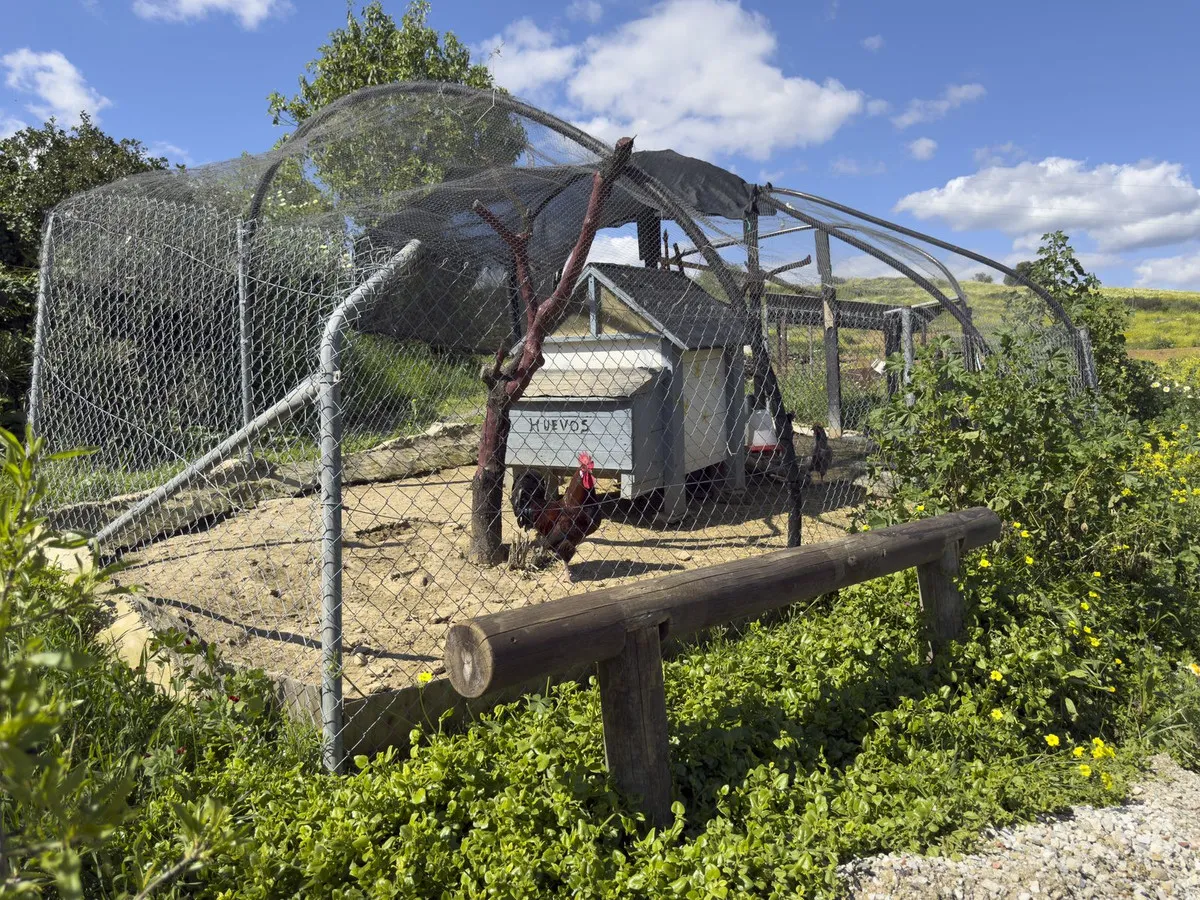 48d1e8da-798f-4435-bcab-cfa3764f78fa