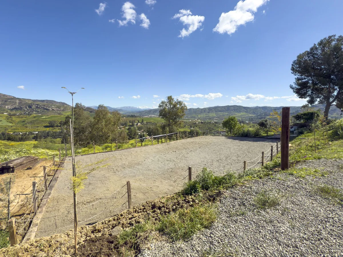 539e4b05-1441-479e-83e8-fcc0b2f90228