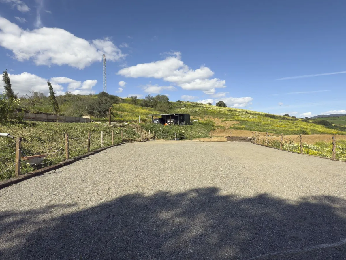 87f0c725-8f87-4026-a88b-9f7957d397c6