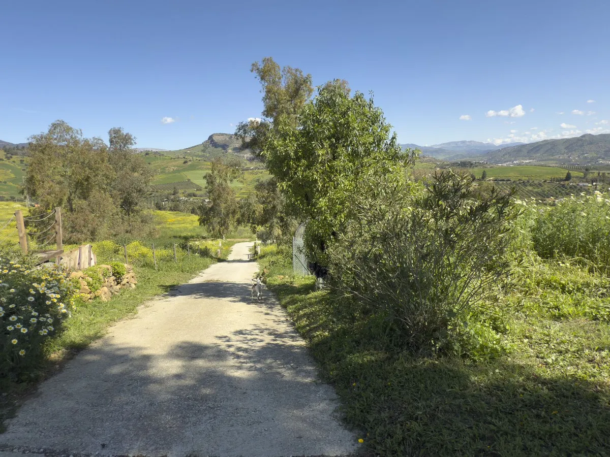 8d1d8305-b7a2-4cab-8032-46732a6cde88