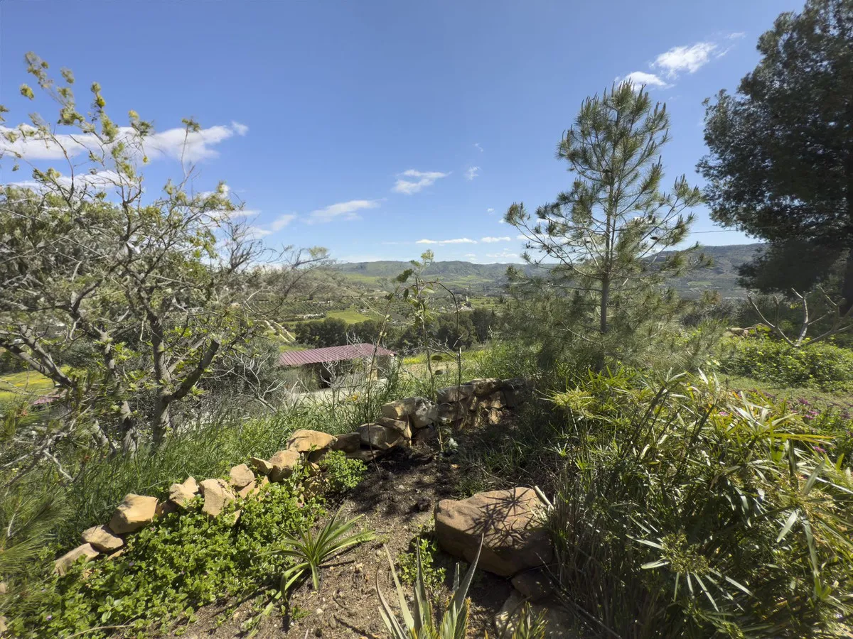 ae55c4b7-9545-409a-bcf3-b0c164eecbbe