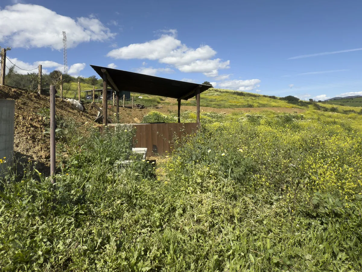 b5fe8c8b-9007-4321-beda-5e17ff8aa48a