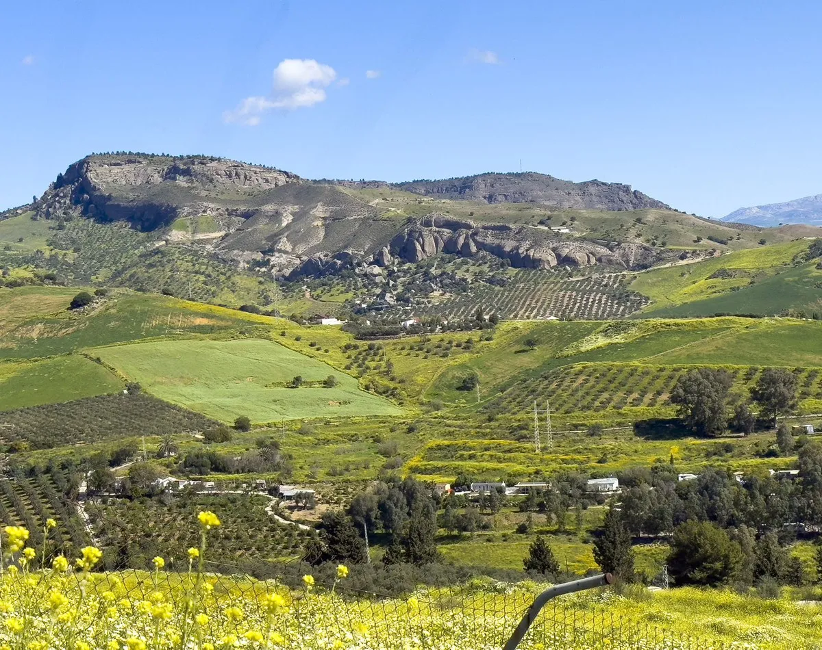 b7d4fd6e-d3f7-4031-b4fd-51416d7d83e8