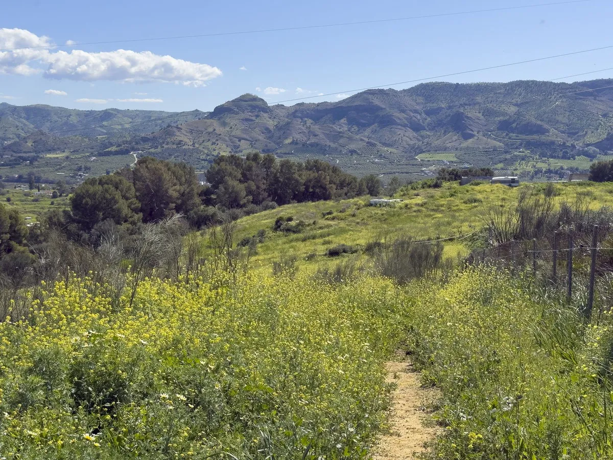 c474f5ca-d3b9-45b1-9391-c6fbb2db3e67